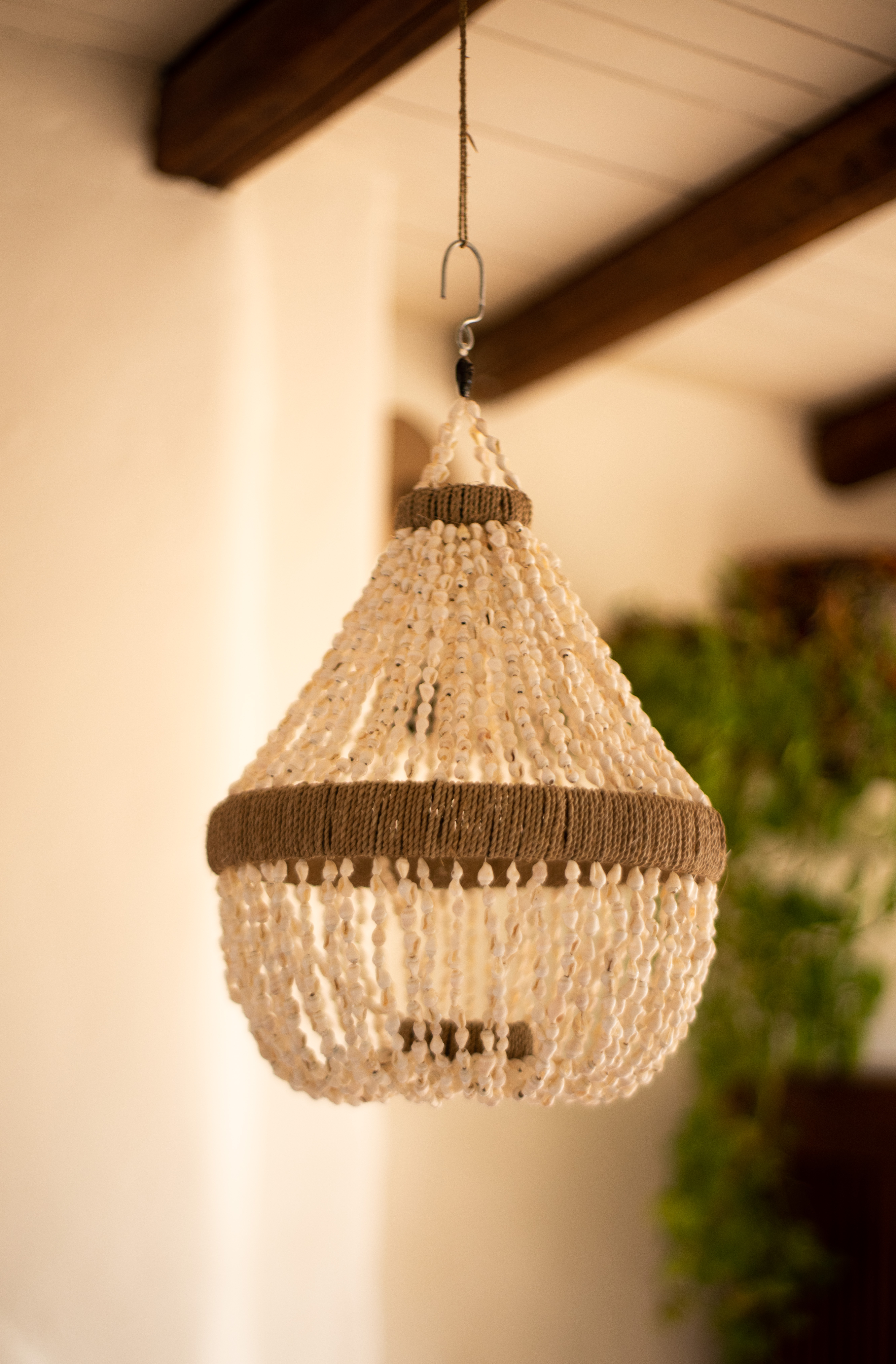 Lampara Shell