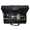 Trompeta Gold Allegro All6416L