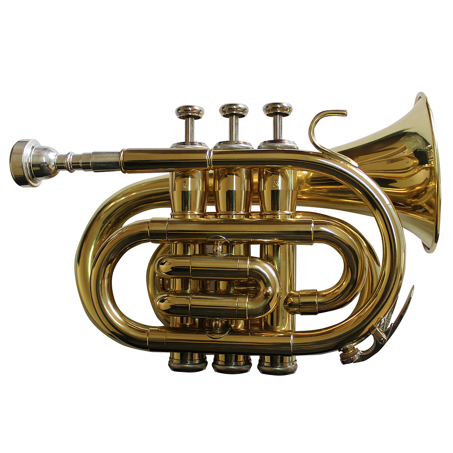 Trompeta Pocket Allegro Bb Dorada All6417L