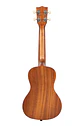 Ukelele Concierto Kala Swell Ka-Surf-Swell - Miniatura 2
