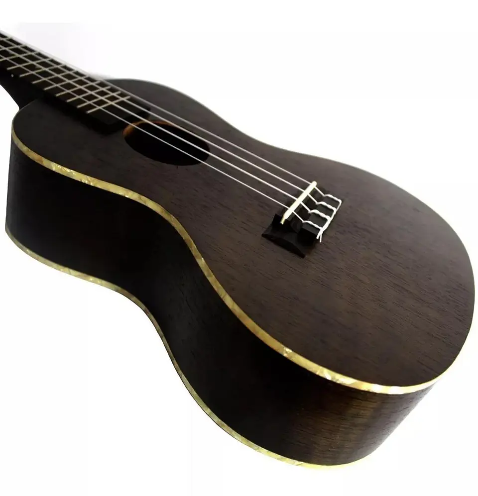 Ukelele Kala Concert Exotic Mahogany Black Ka-Cembk 3