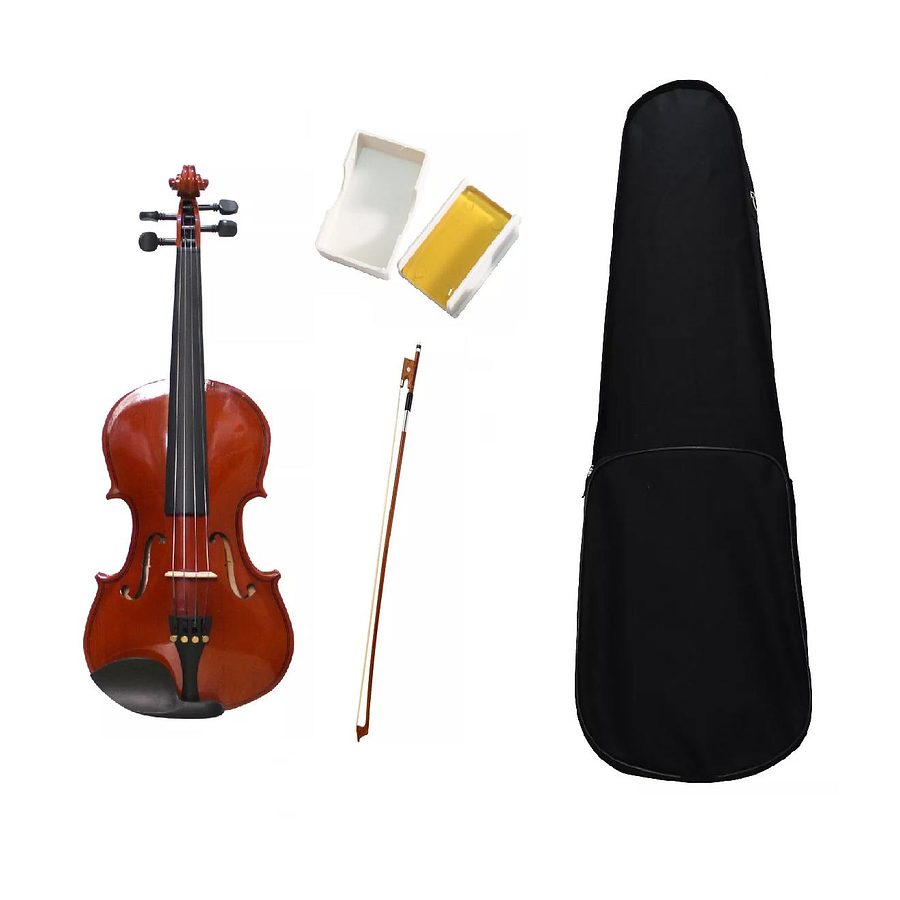 Violin Livorno Solid Ebony 4/4 Liv-50