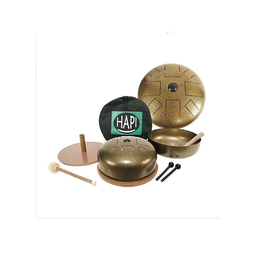 Tongue Hapi Drums Bell With Wooden Disc D Minor