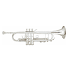 Trompeta Nikelada Silver Allegro All6416N
