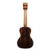 Ukelele Kala Premier Exotic ebony concierto Ka-px-eby-c