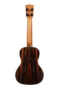 Ukelele Kala Premier Exotic ebony concierto Ka-px-eby-c - Miniatura 2