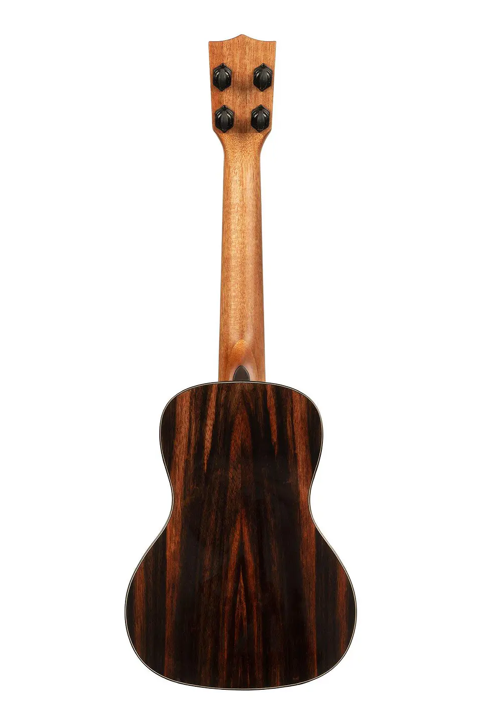 Ukelele Kala Premier Exotic ebony concierto Ka-px-eby-c 2