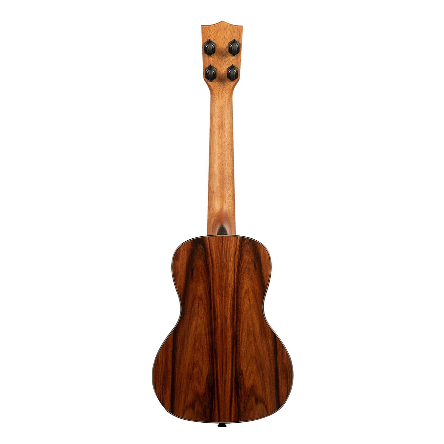 Ukelele Premier Exotic Macawood concierto Ka-px-maca-c