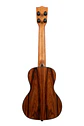 Ukelele Premier Exotic Macawood concierto Ka-px-maca-c - Miniatura 2