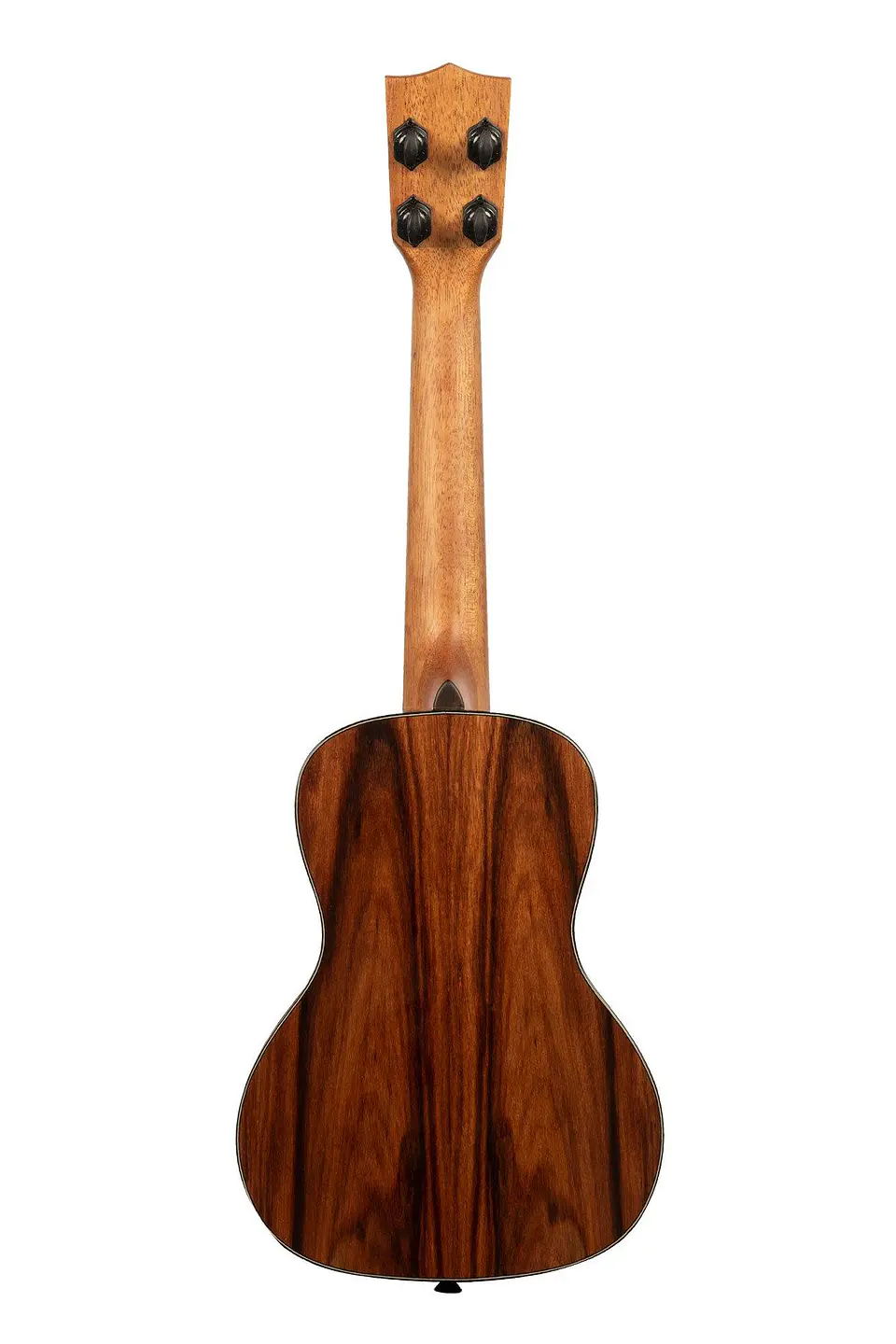 Ukelele Premier Exotic Macawood concierto Ka-px-maca-c 2