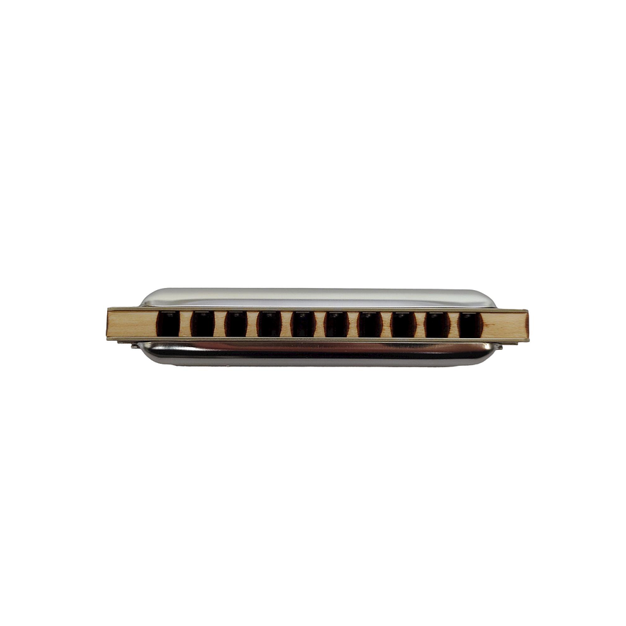 Armónica Seydel Blues Classic (Escala Low C) 16201LC