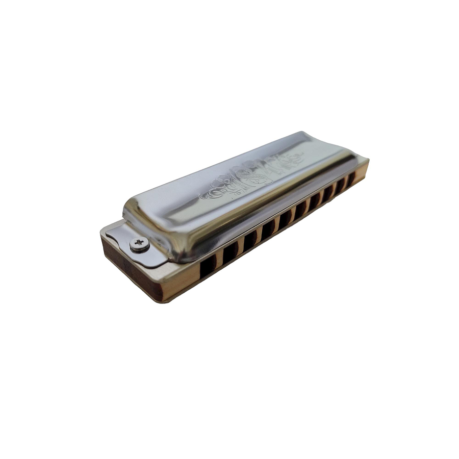 Armónica Seydel Blues Classic (Escala Low D) 16201LD