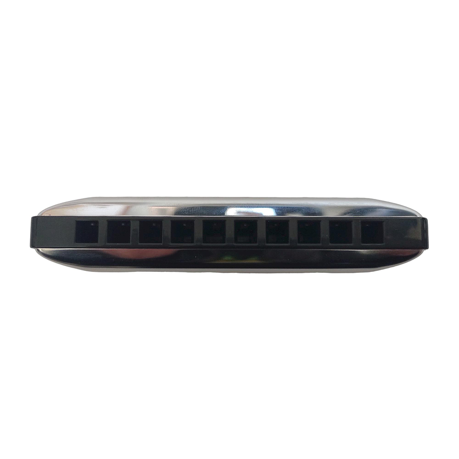 Armónica Seydel Blues Session Standard (Escala D) 10201D