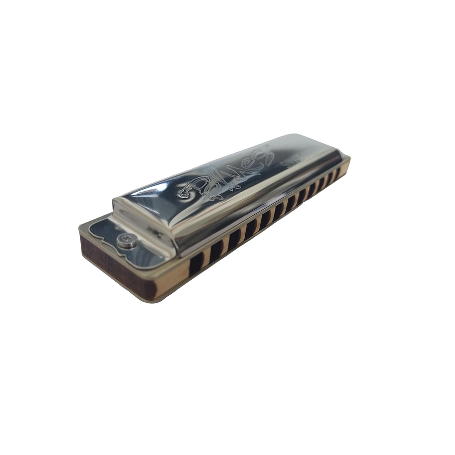 Armónica Seydel Blues Solist PRO 12 (Escala C) 11602C