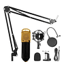 Kit Micrófono Condensador Mc-800 Open Box