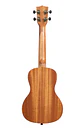 Ukelele Kala Learn to Play Concierto Started Pack Kala Ltp-c - Miniatura 4