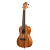 Ukelele Kala Learn to Play Concierto Started Pack Kala Ltp-c