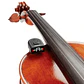 Afinador Cromatico Para Violín/Viola PW-CT-14 Daddario - Miniatura 3