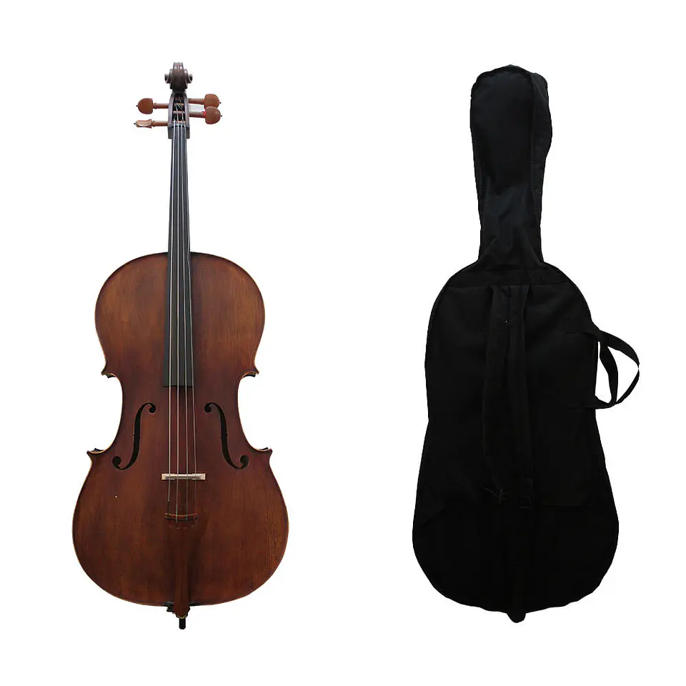 Violoncello Livorno 4/4 Mc761B 1