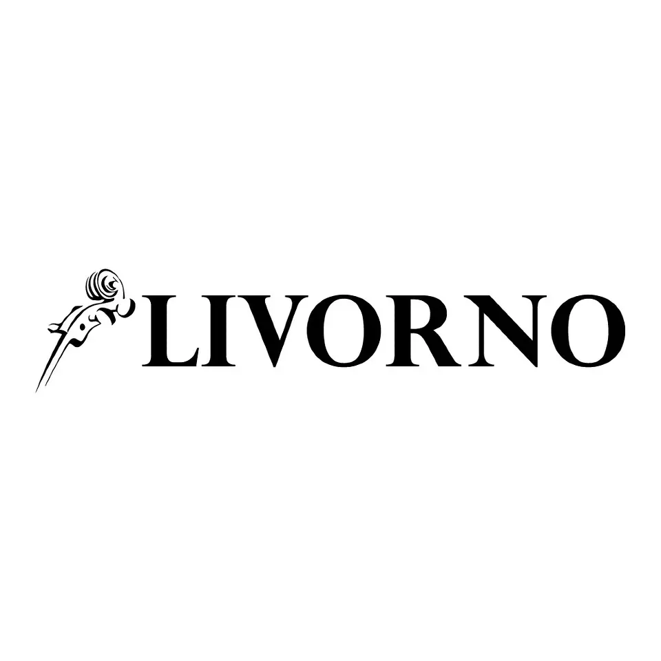 Violoncello Livorno 4/4 Mc761B 2