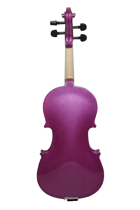 Violín Livorno Color Purpura 4/4 Liv-20pu