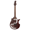 Guitarra eléctrica Danelectro large Sitar