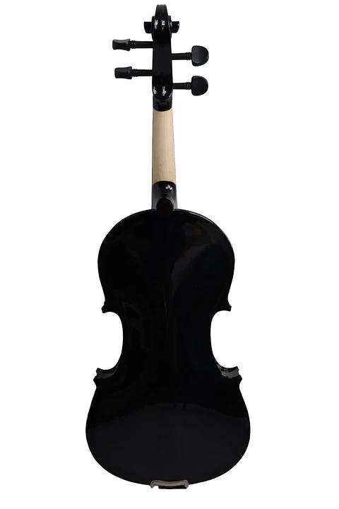 Violín Livorno Color Negro 3/4 LIV-25BK
