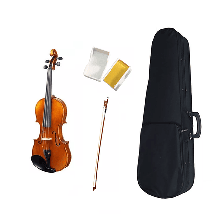 Violin Livorno Antique Liv-10 4/4 Open Box