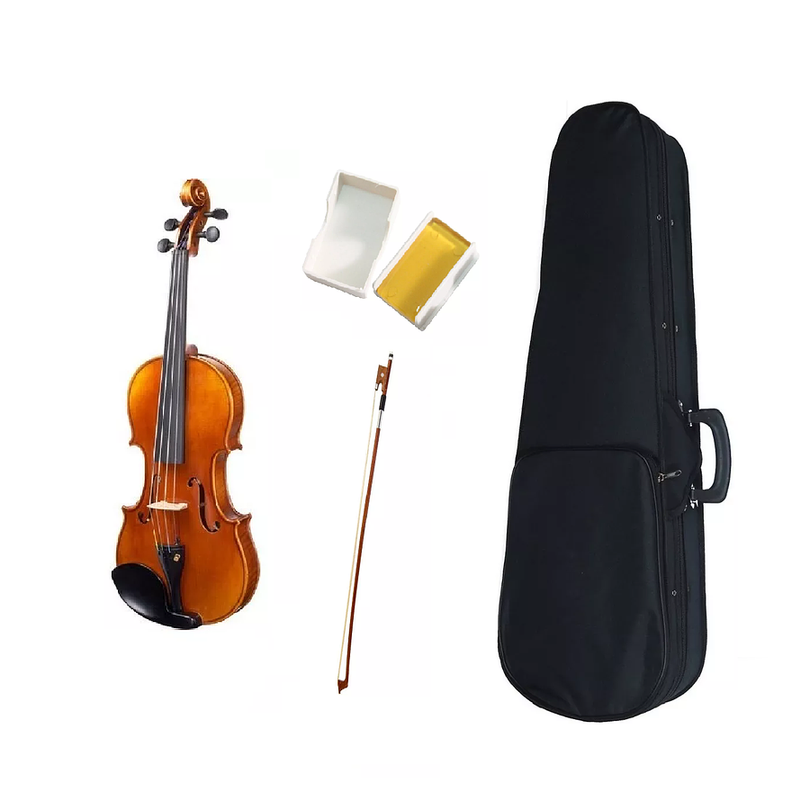 Violin Livorno Antique Liv-10 4/4 Open Box