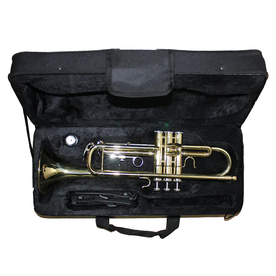 Trompeta Gold Allegro All6416L 3