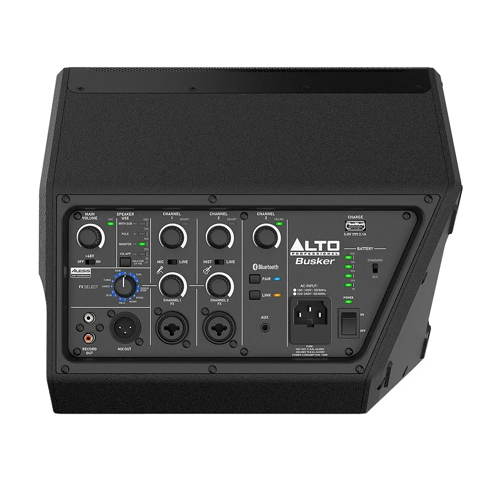 Parlante Portatil Recargable 200w Busker Alto Profesional 4