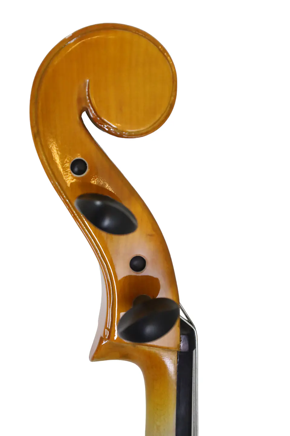 Violoncello Eléctrico Livorno Mahogany 4/4 LIC-100E-MA 5