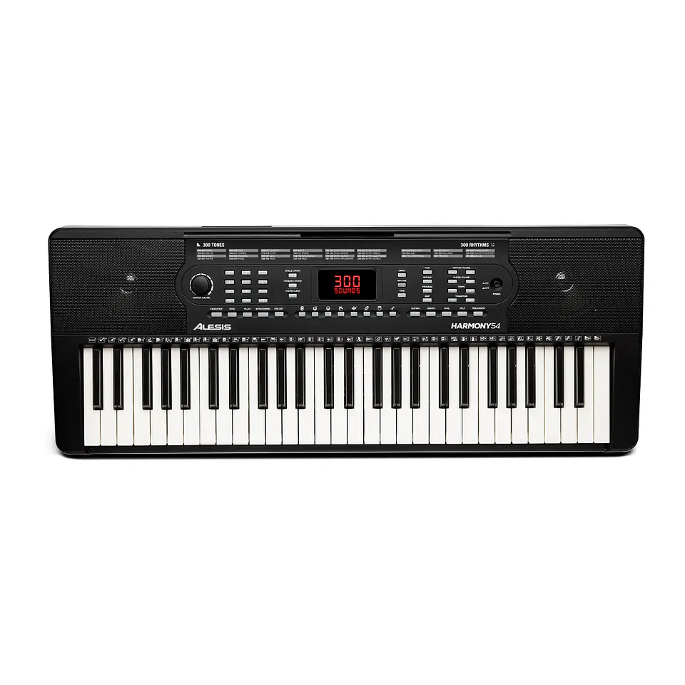Teclado Musical Piano 54 Notas Harmony Alesis 1