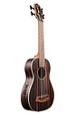 Ubass Ebony Rw Ubass Eby Fsrw - Miniatura 2