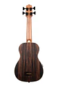 Ubass Ebony Rw Ubass Eby Fsrw - Miniatura 3