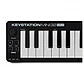 Controlador Midi Keystation Mini 32 M3 M-Audio - Miniatura 4
