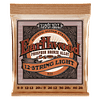 Set de cuerdas para Guitarra 12 cuerdas Ernie Ball Earthwood Bronze 10–52