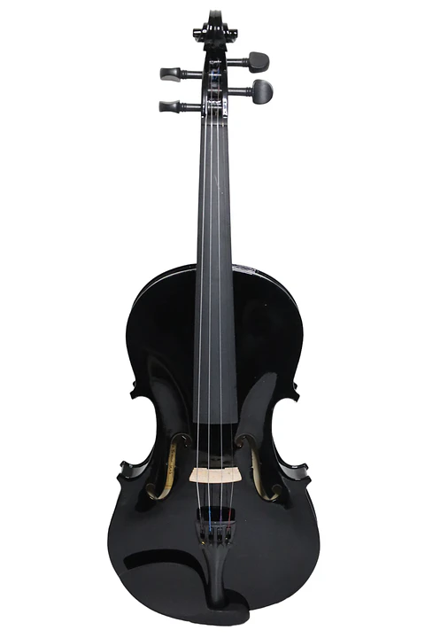 Violín Livorno Color Negro 4/4 LIV-20BK