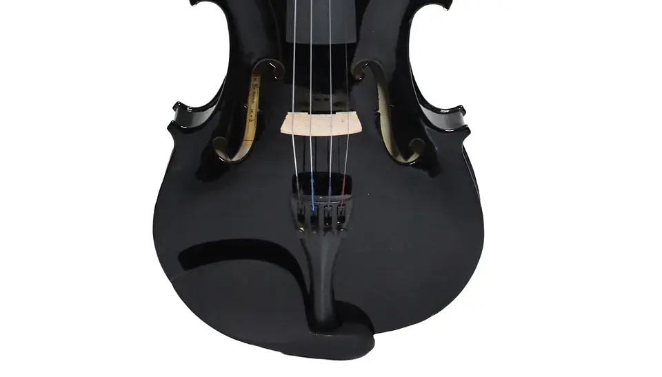 Violín Livorno Color Negro 4/4 LIV-20BK 3