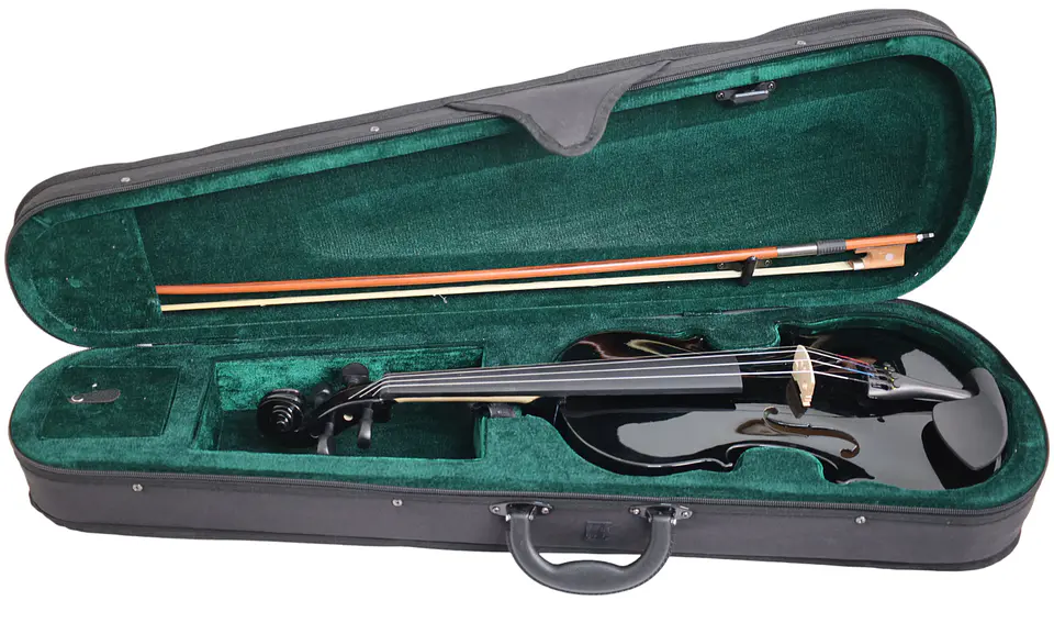 Violín Livorno Color Negro 4/4 LIV-20BK 4