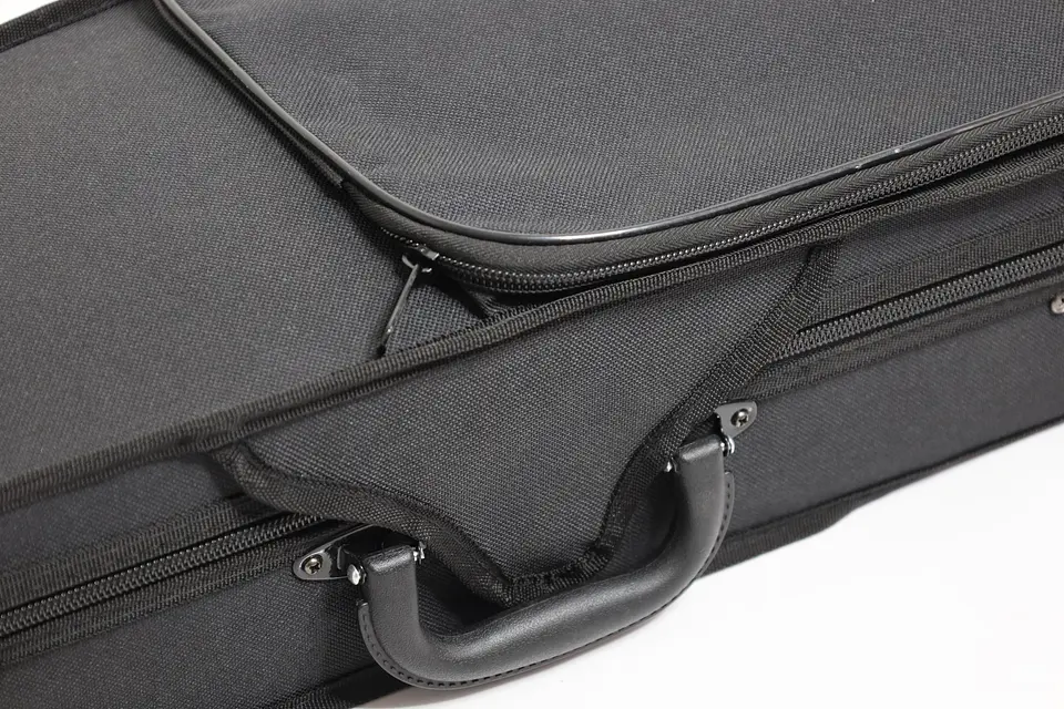 Violín Livorno Color Negro 4/4 LIV-20BK 5