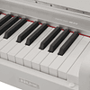 Piano Digital Nux Wk-310 White OB