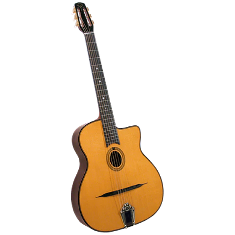 Guitarra Gypsy Jazz Profesional Gitane DG-255