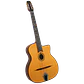 Guitarra Gypsy Jazz Profesional Gitane DG-255 - Miniatura 1