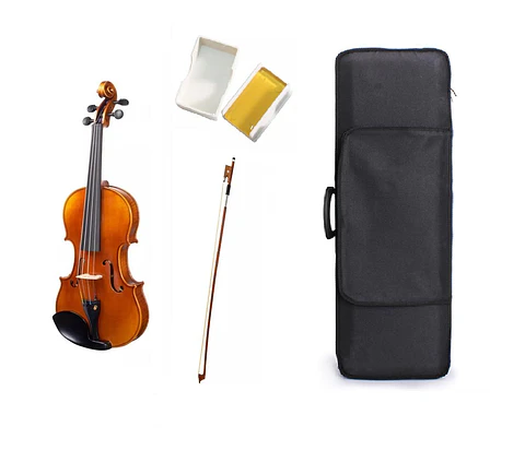 Violin Livorno Antique Solid 4/4 Liv-40