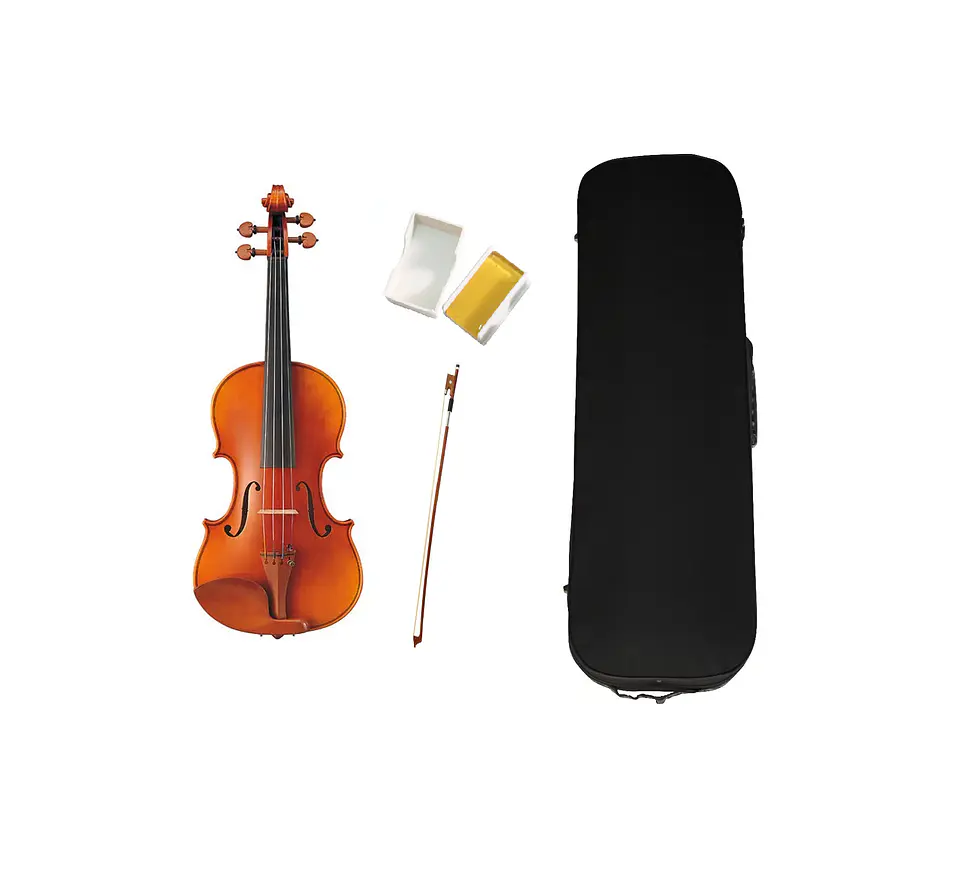 Violin Livorno Professional Mv100 4/4 1