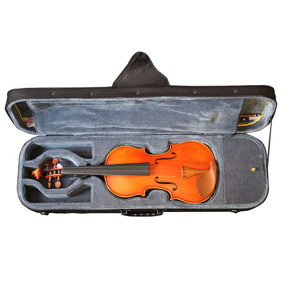 Violin Livorno Professional Mv100 4/4