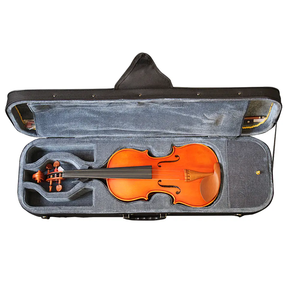 Violin Livorno Professional Mv100 4/4 3