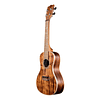 Ukelele Kala Acacia Concierto Ka-Asac-C