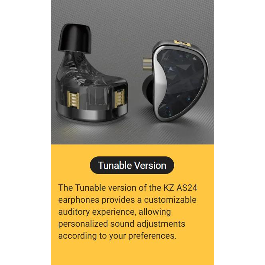 Audífono AS24-SWITCH-MIC KZ